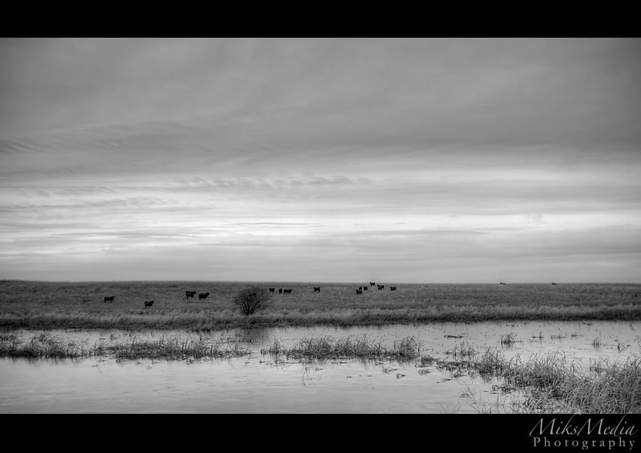 alberta-10