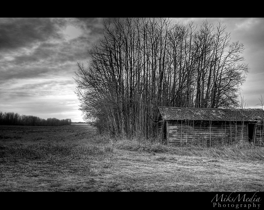 alberta-5