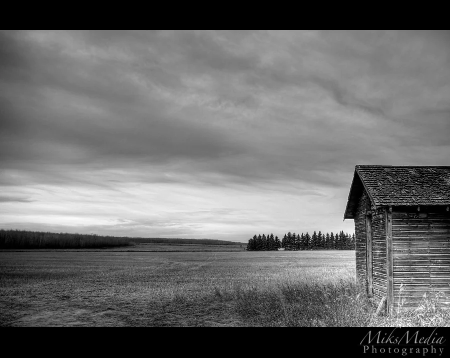 alberta-6