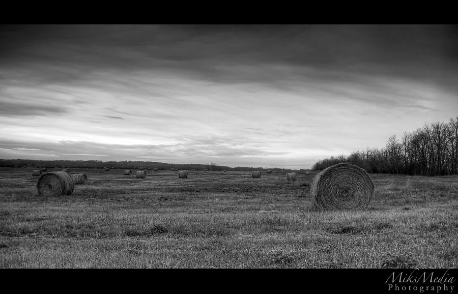alberta-8