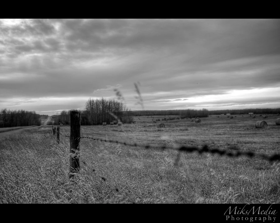 alberta-9