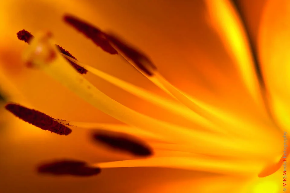 IMG_0039-Edit
