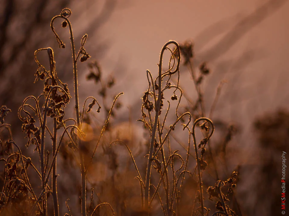 P1050675-Edit