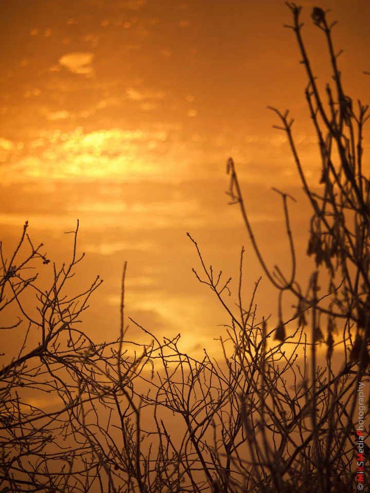 P1050788-Edit