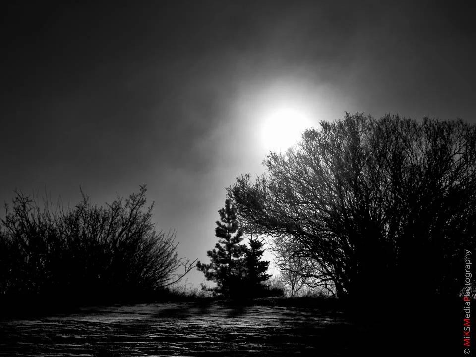 P1050819-Edit