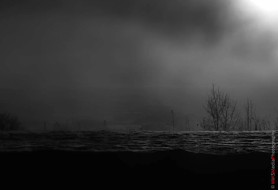 P1050831-Edit