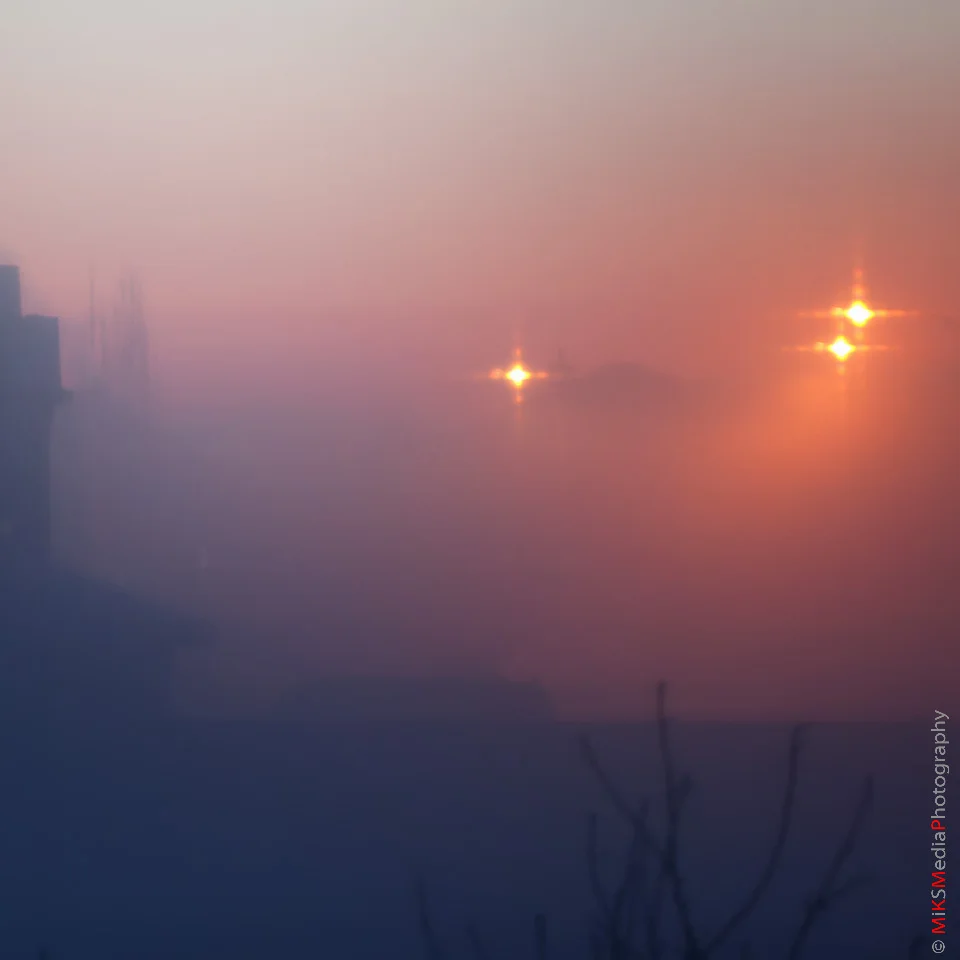 Foggy suburbia