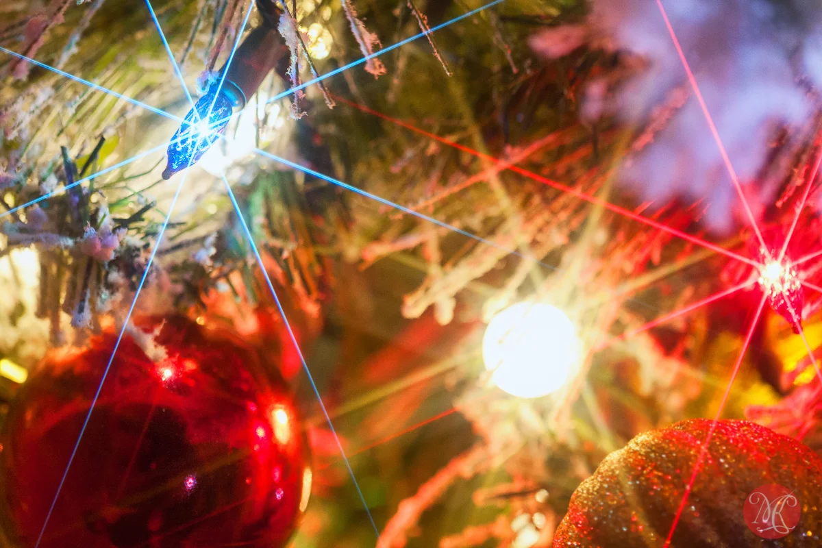 Merry Christmas!