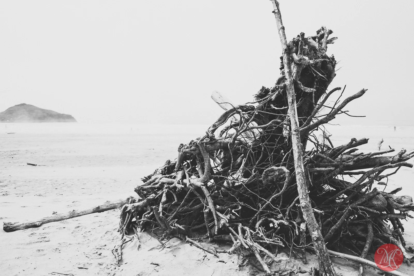 beach,bc,ocean,landscape photography 01