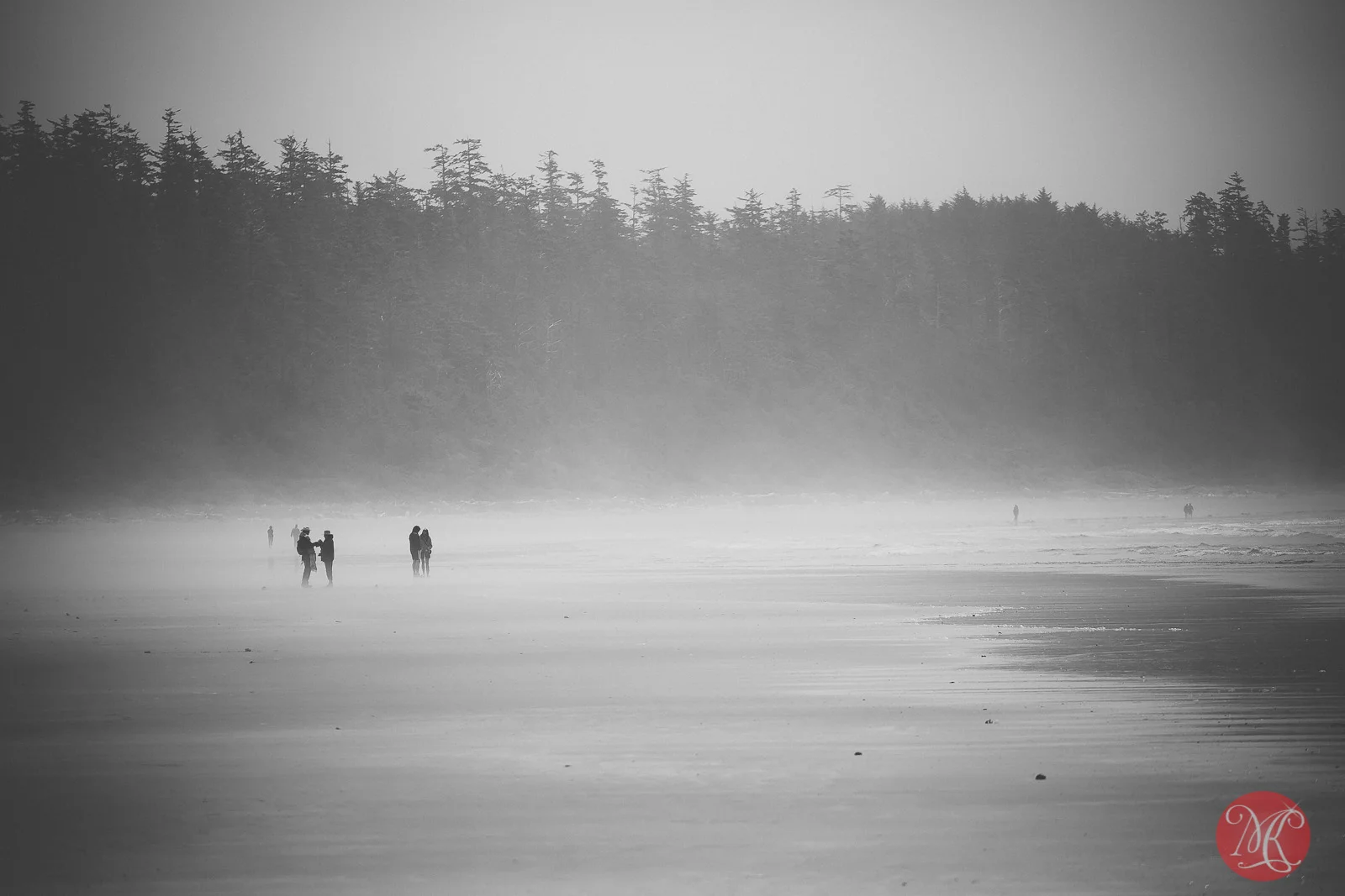beach,bc,ocean,landscape photography 03