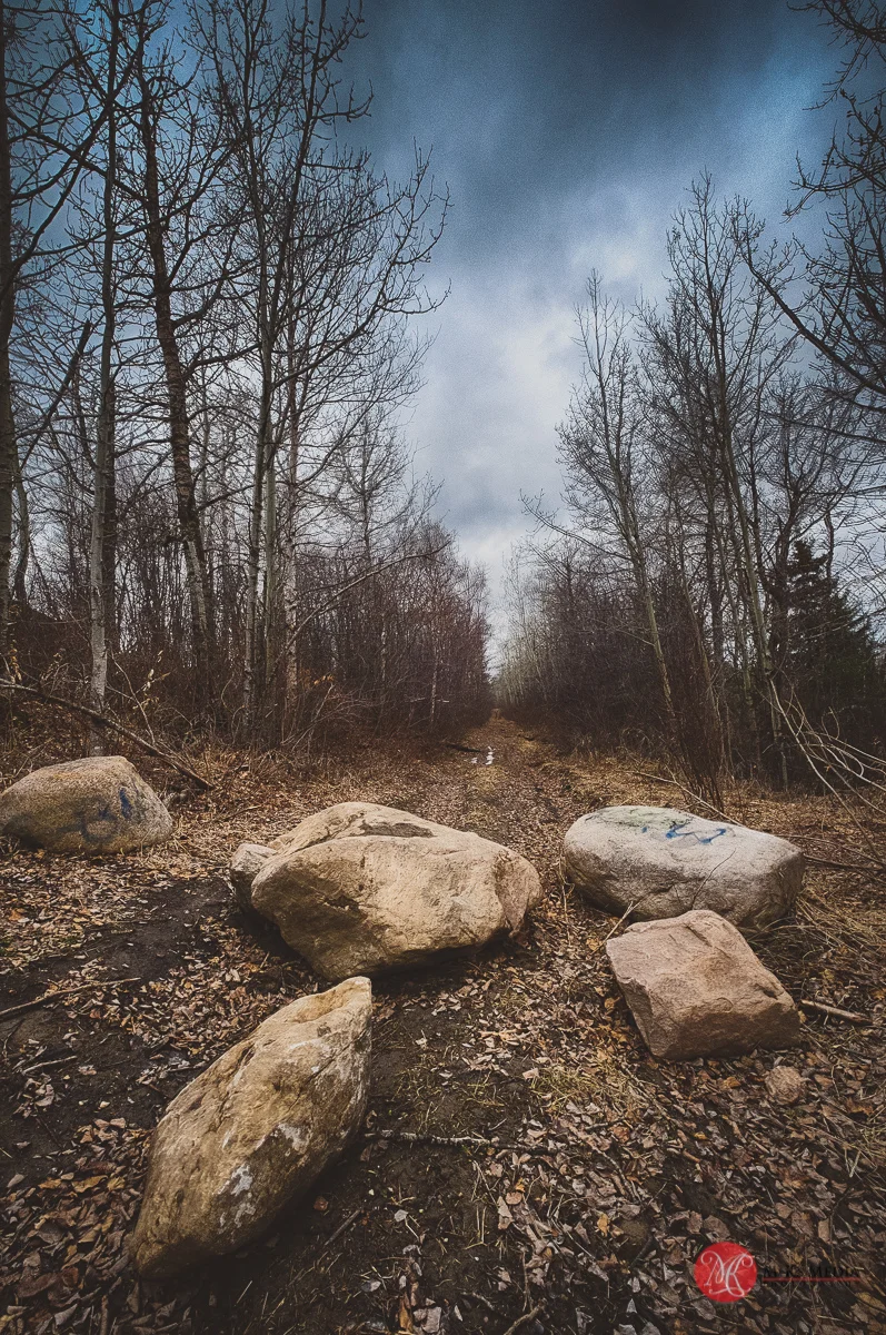 fuji,landscape,10-24,wide,alberta,outdoors,