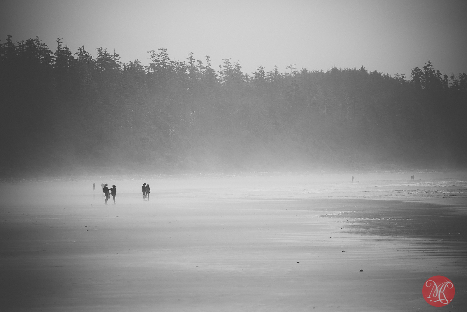 Beach in Fog