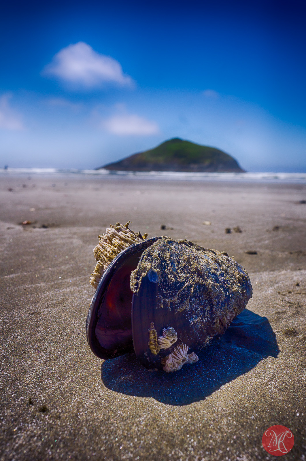 Things on the beach