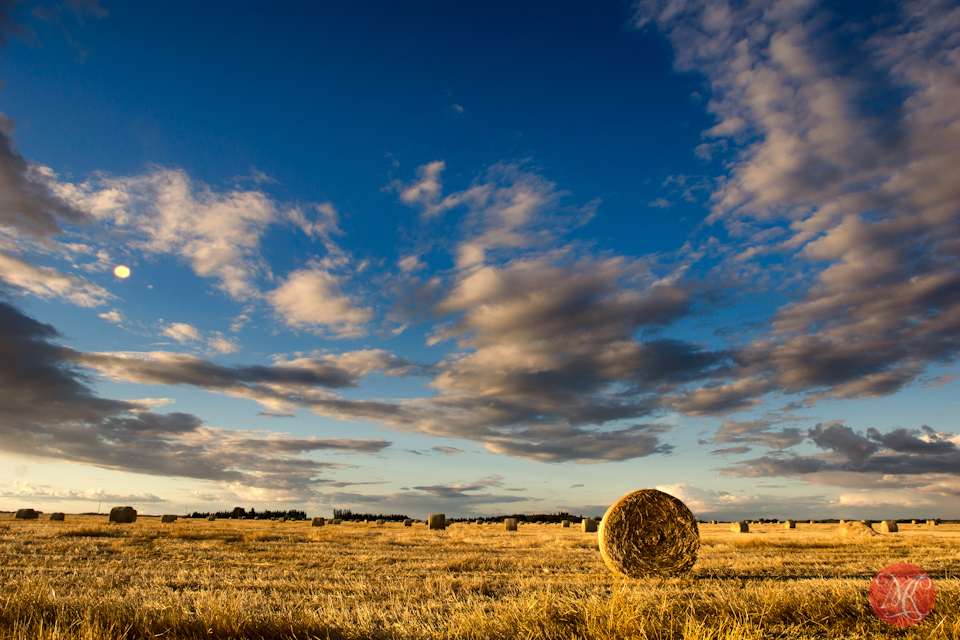 prairies-1.jpg