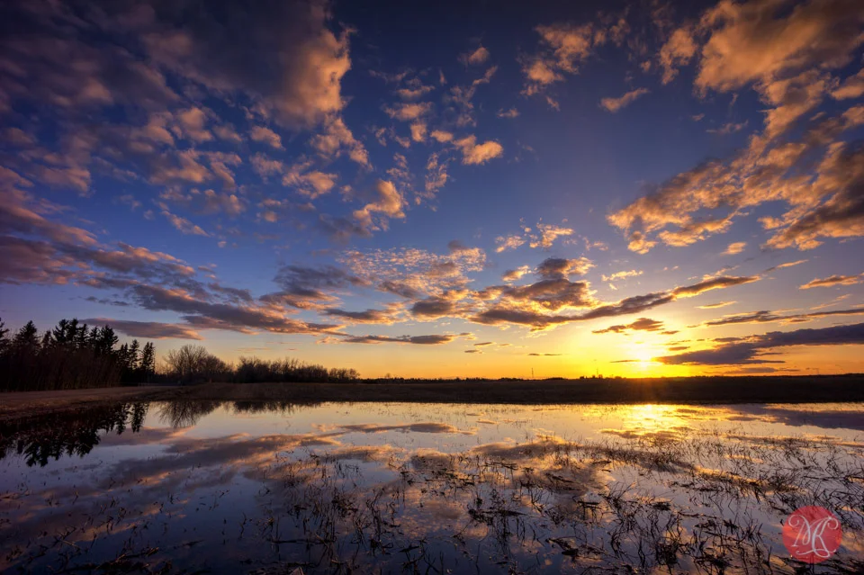 1-alberta-landscape-sunset-field.jpg