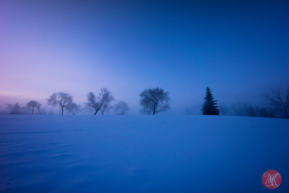 1-foggy-winter-sunrise-alberta-landscape-photographer.jpg