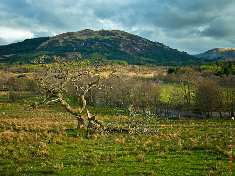 1-scotland-Balquhidder-Parish-Church-cemetery-rob-roy-history-travel-architecture-spring.jpg