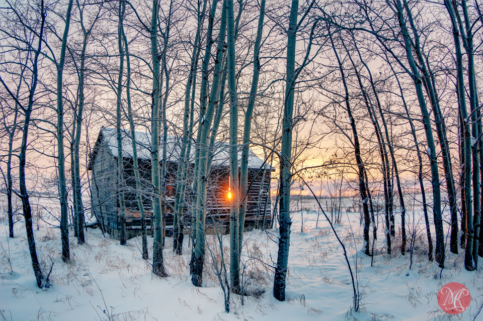3-sunrise-farm-alberta-trees-snow-winter.jpg