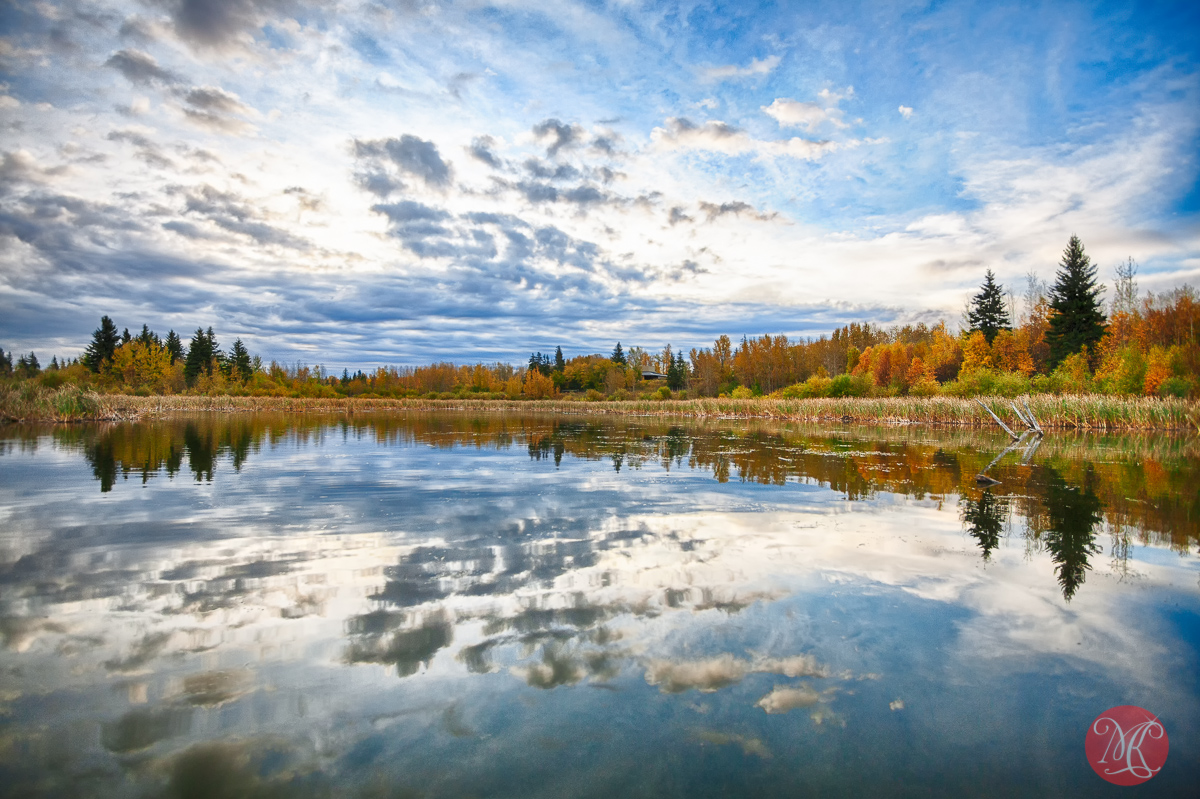 One October morning at Elk Island.. 3