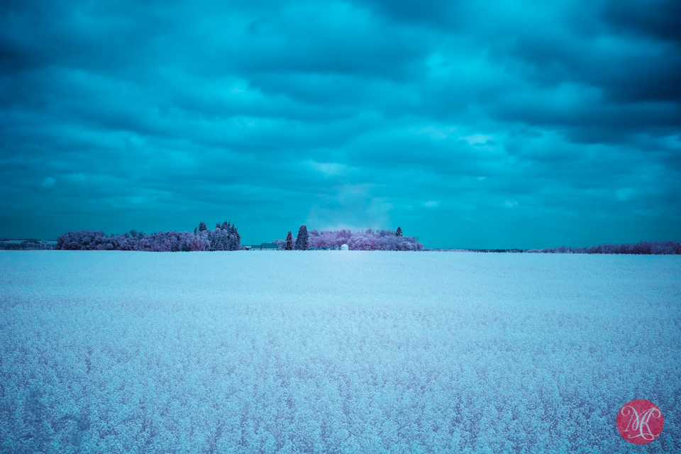4-infrared-cloudy-landscape-alberta-photographer.jpg