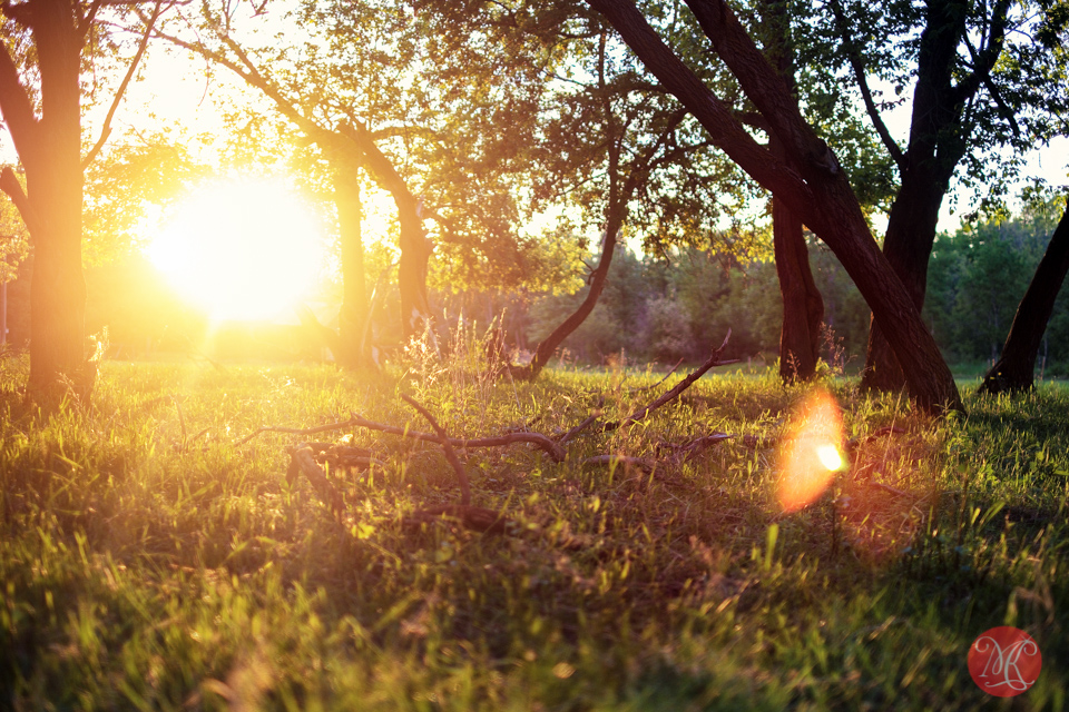 4-landscape-sunset-farm-alberta-summer-photography.jpg