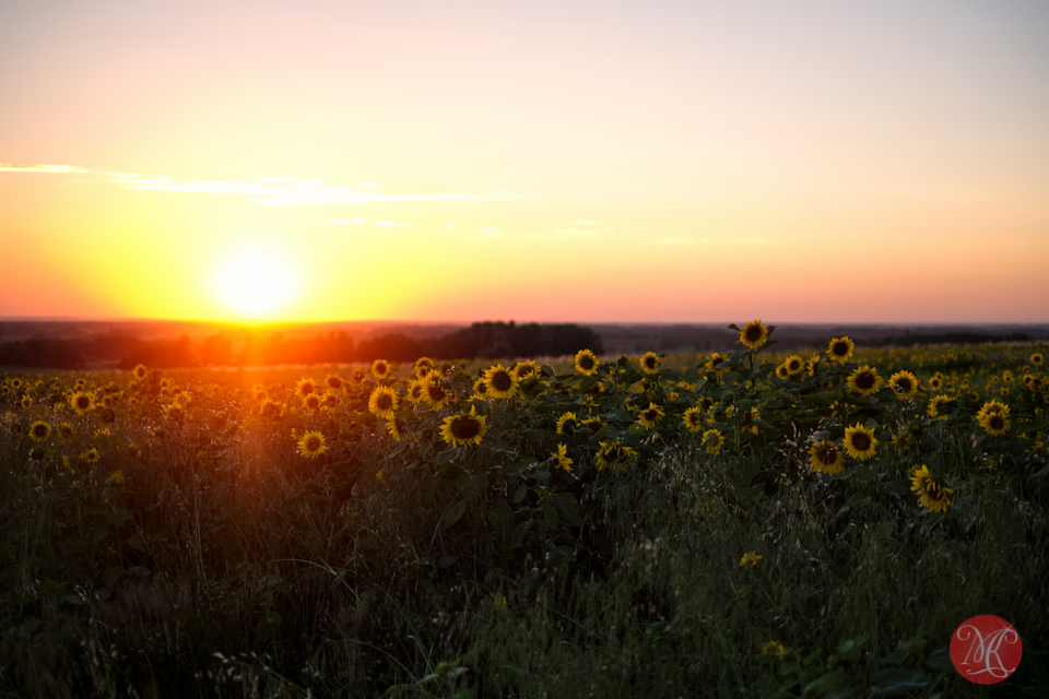 5-alberta-bowden-sunmaze-sunset-landscape-photography.jpg