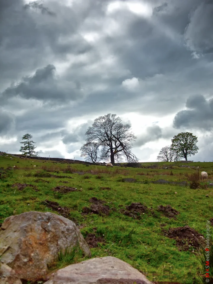 5-scotland-highlands-countryside-travel-nature-landscape-trees-meadows-sky-clouds.jpg
