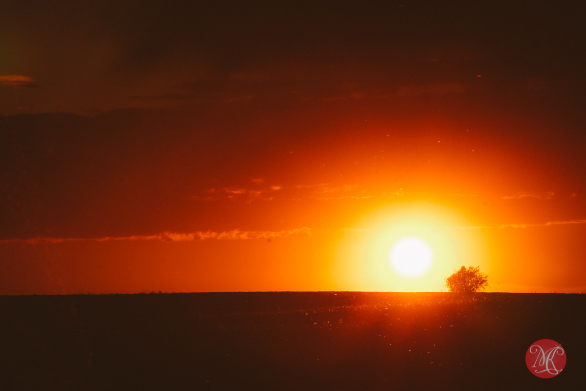 7-alberta-landscape-photography-sunset.jpg