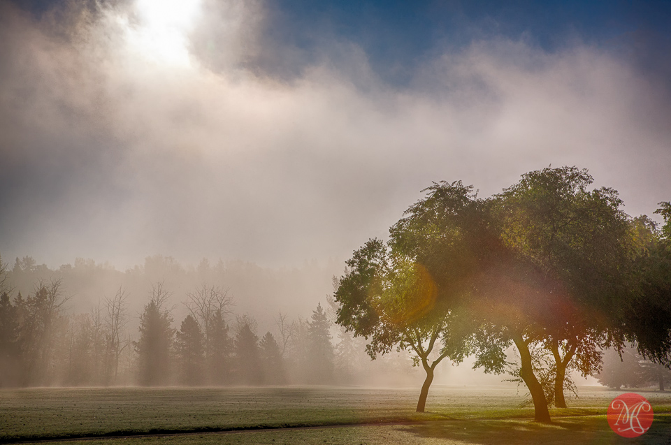 7-canada-alberta-edmonton-fall-mist-fog-park-trees-mood-beauty.jpg