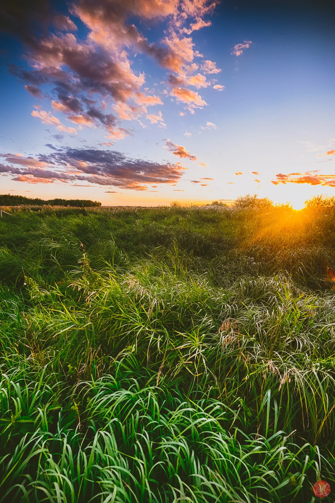 Alberta is Beautiful - Fuji Landscape Photography — MiKSMedia Photography