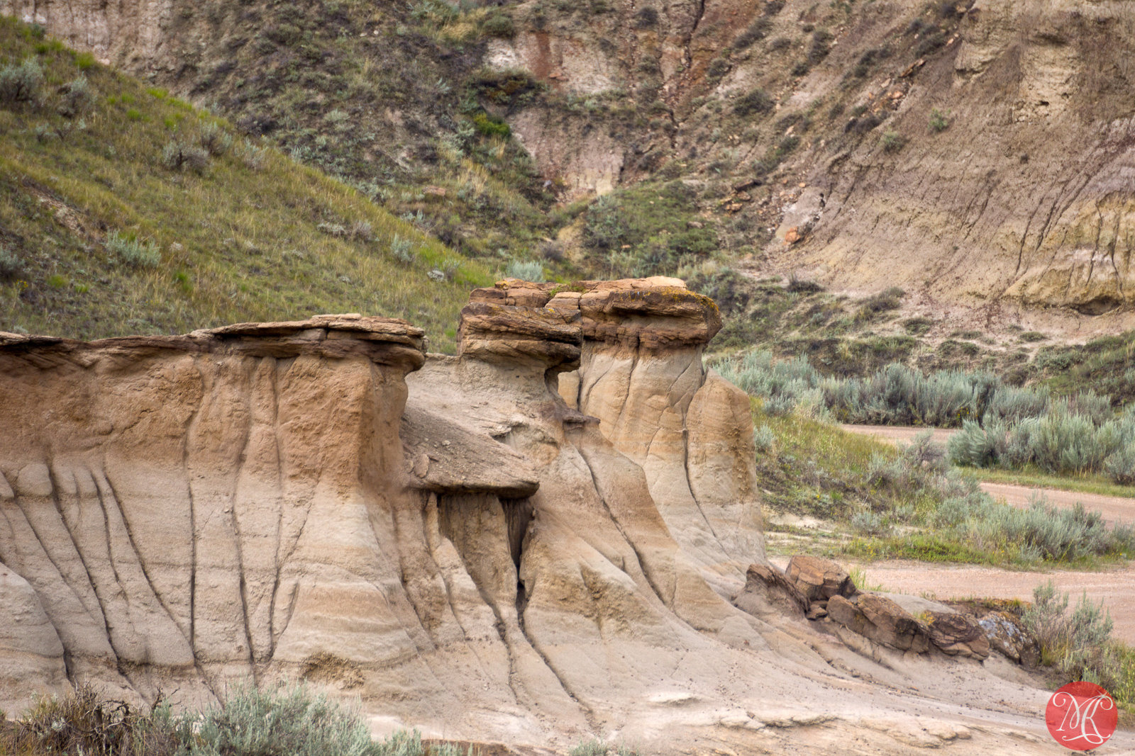 Dinosaur Provincial Park - Alberta Landscape Photography