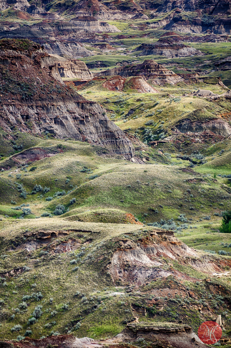 Dinosaur Provincial Park - Alberta Landscape Photography