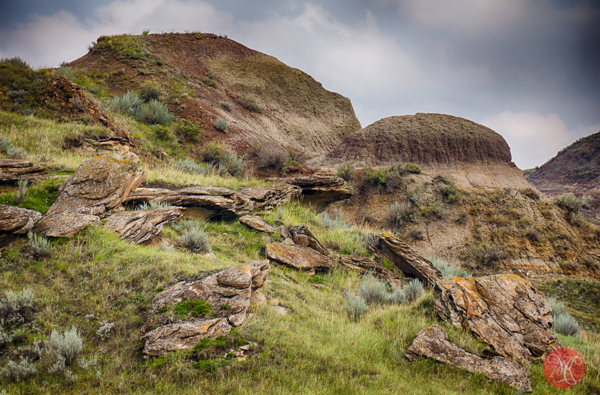 Dinosaur Provincial Park - Alberta Landscape Photography