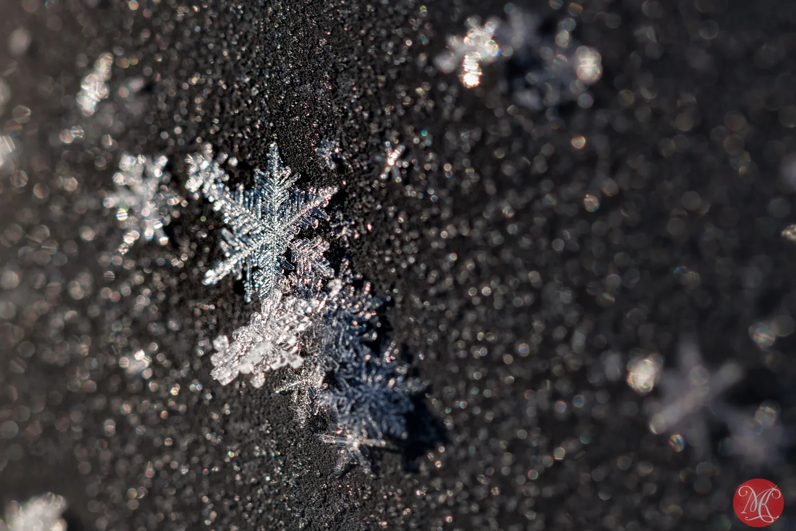 Snow and ice - Macro Photography