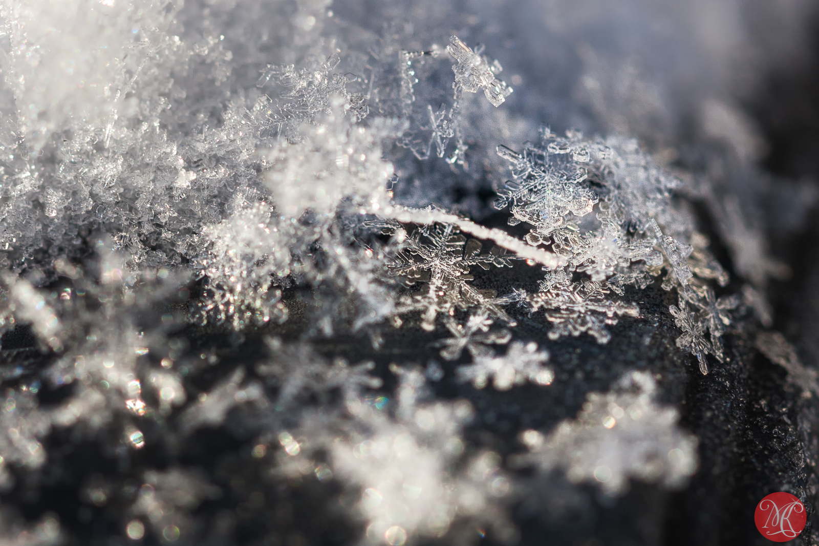 Snow and ice - Macro Photography