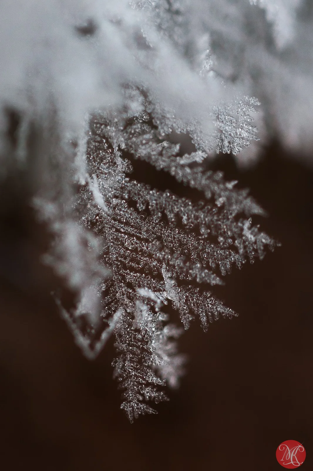 Snow and ice - Macro Photography