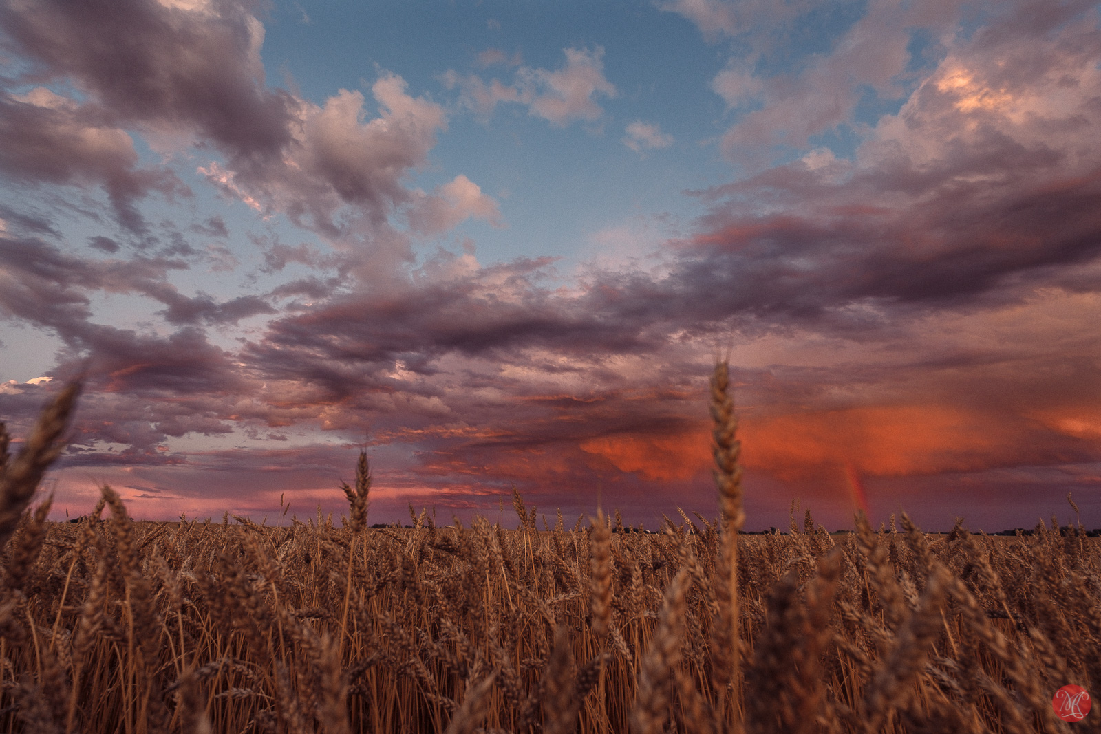 Summer storm over Alberta prairie