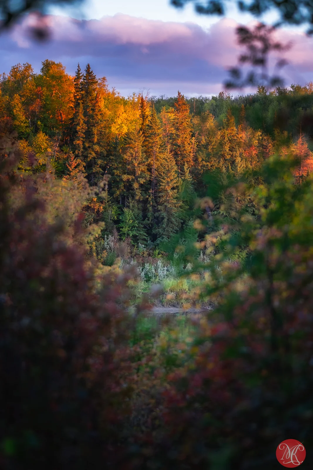 Fall 2018 3