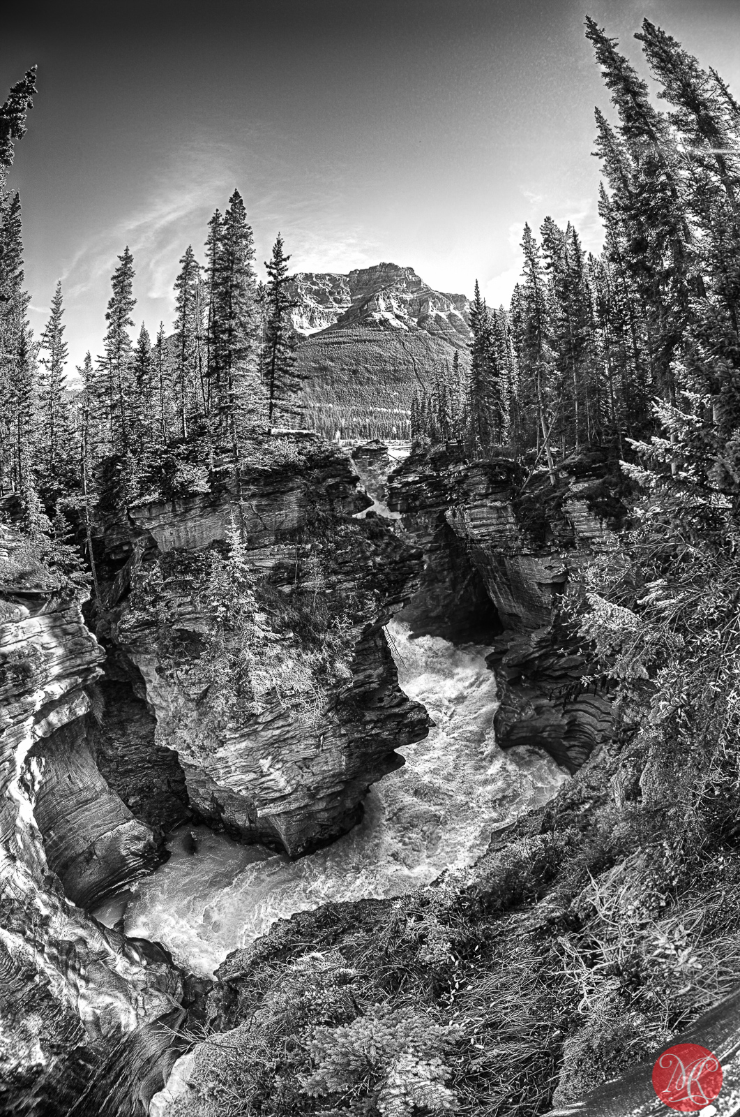 At Athabasca Falls 1