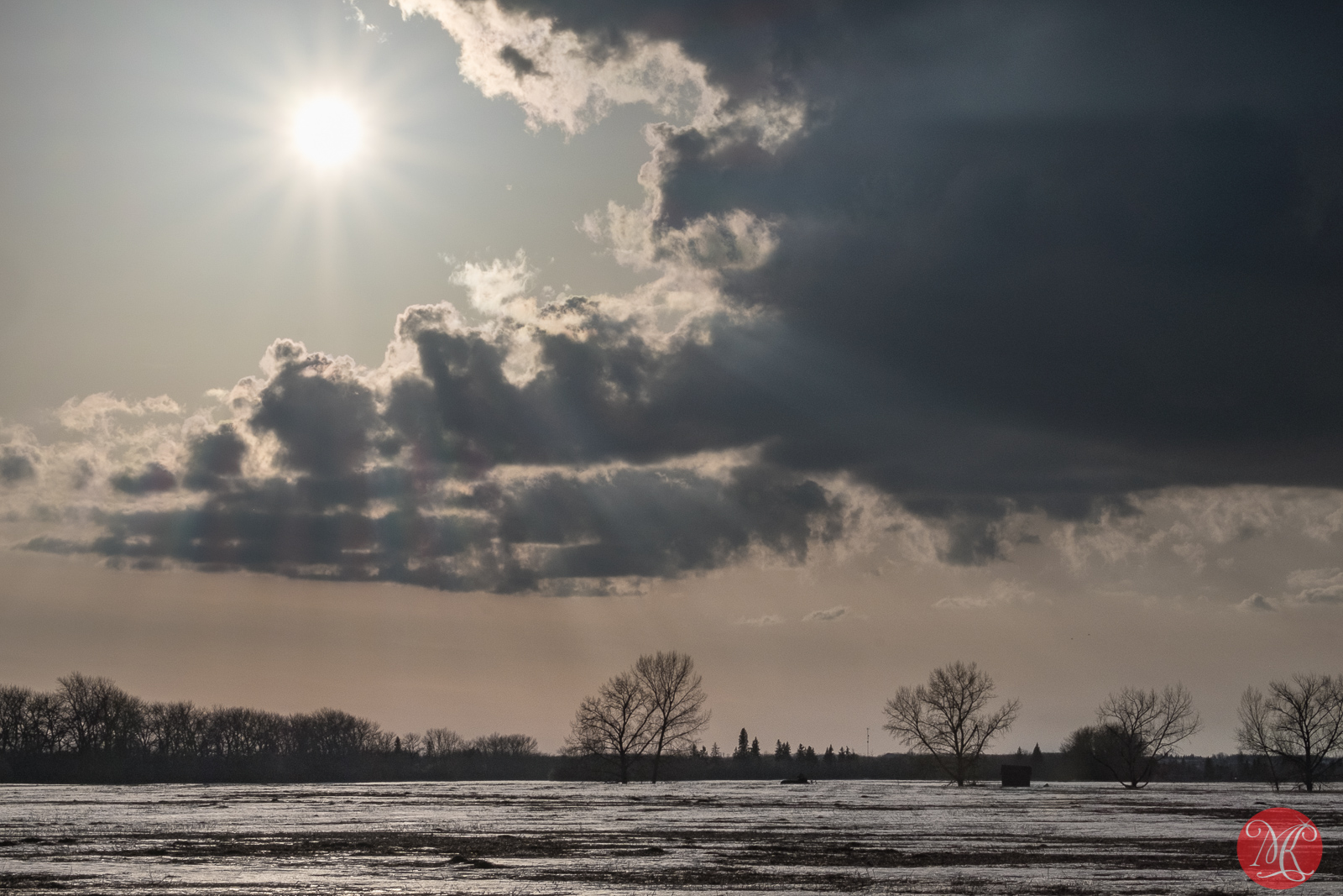 Afternoon on the prairies 3