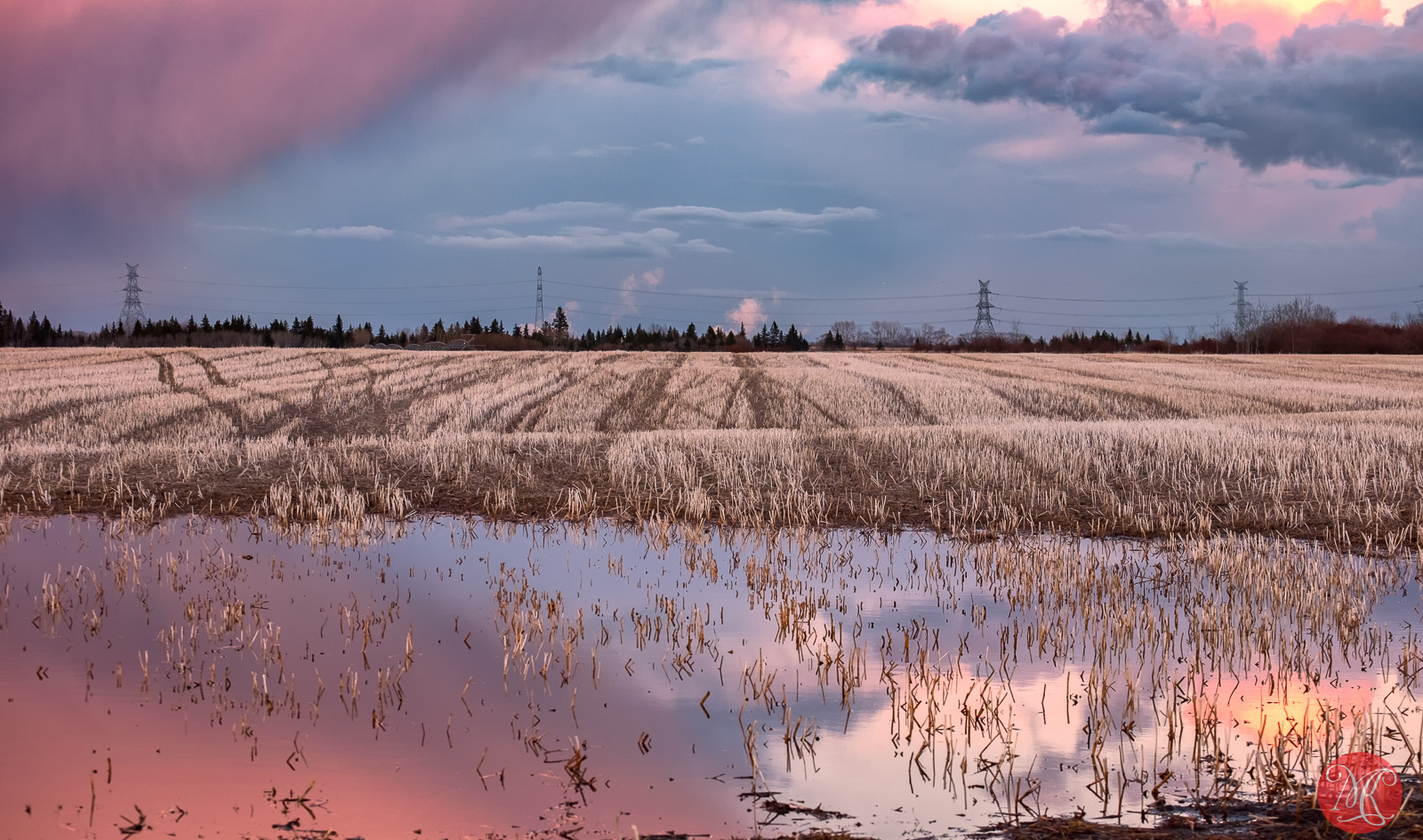 Colors of the spring sunset