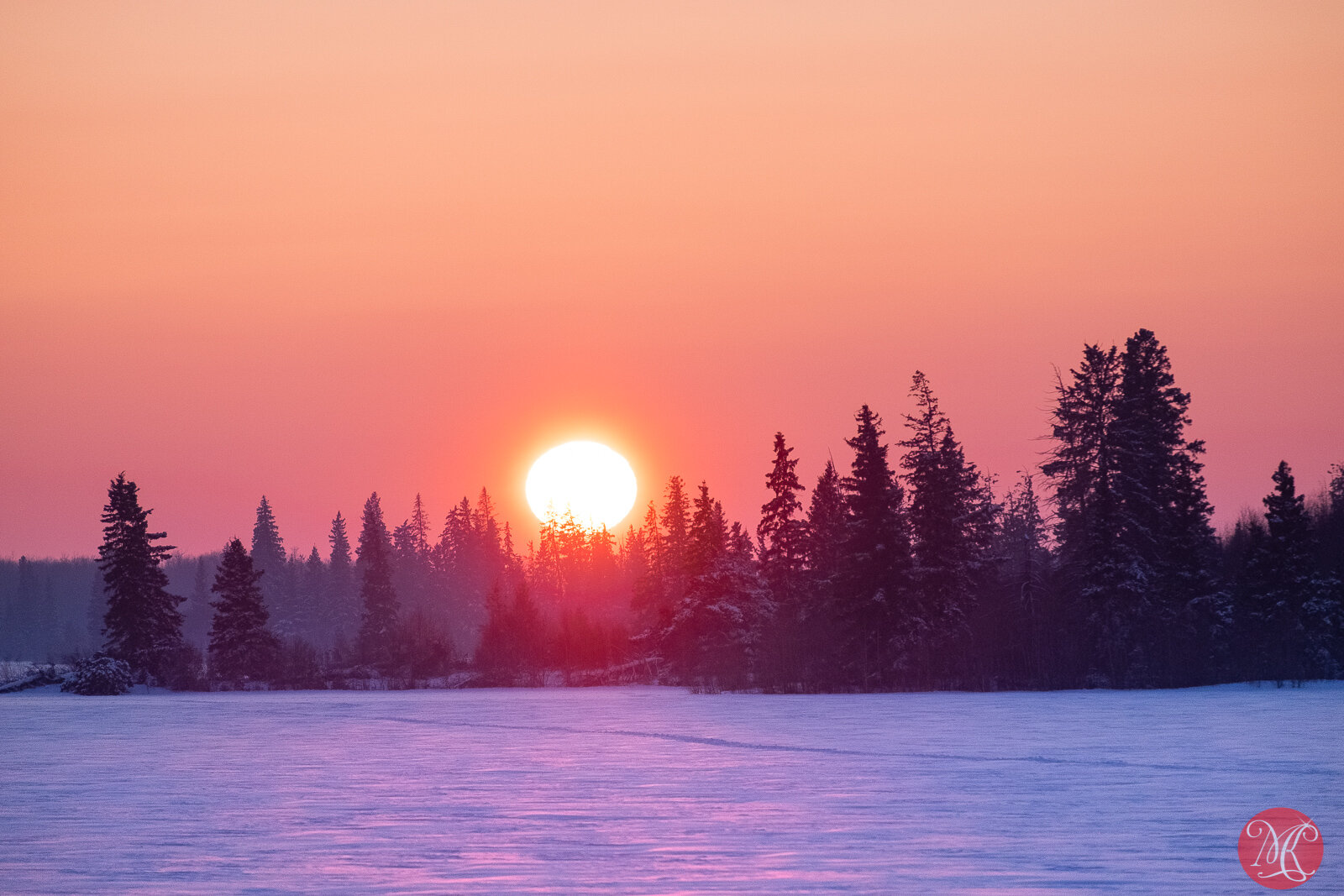 Elk Island 2019 - winter 20