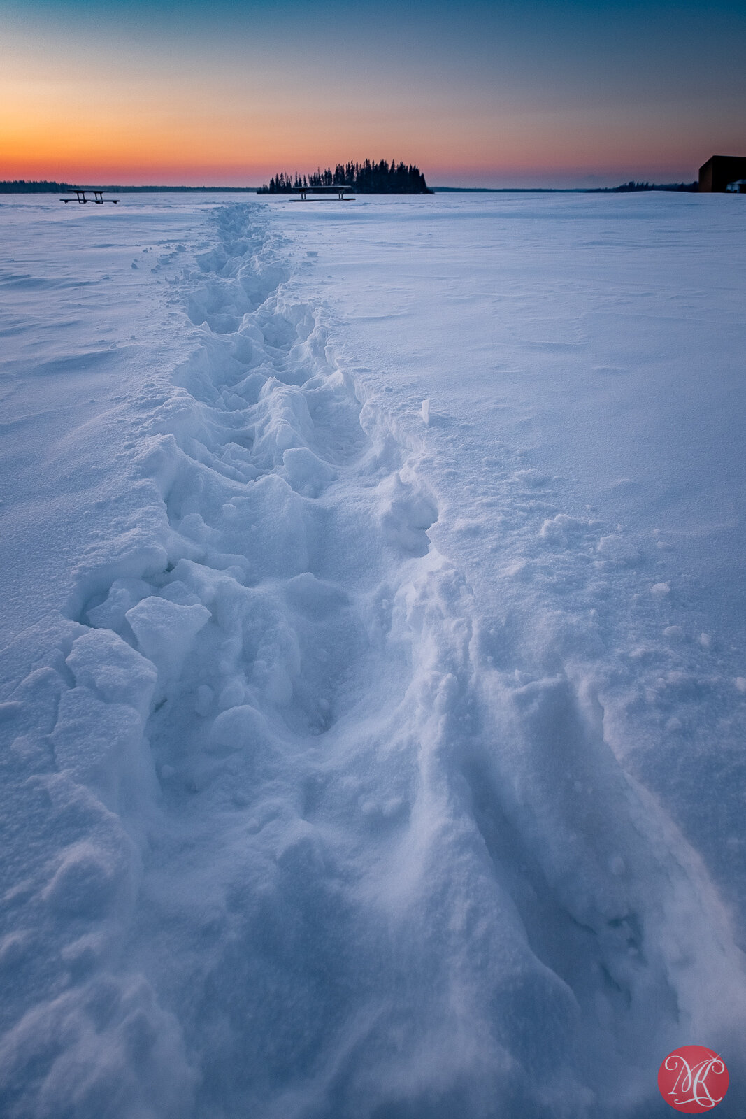 Elk Island 2019 - winter 9