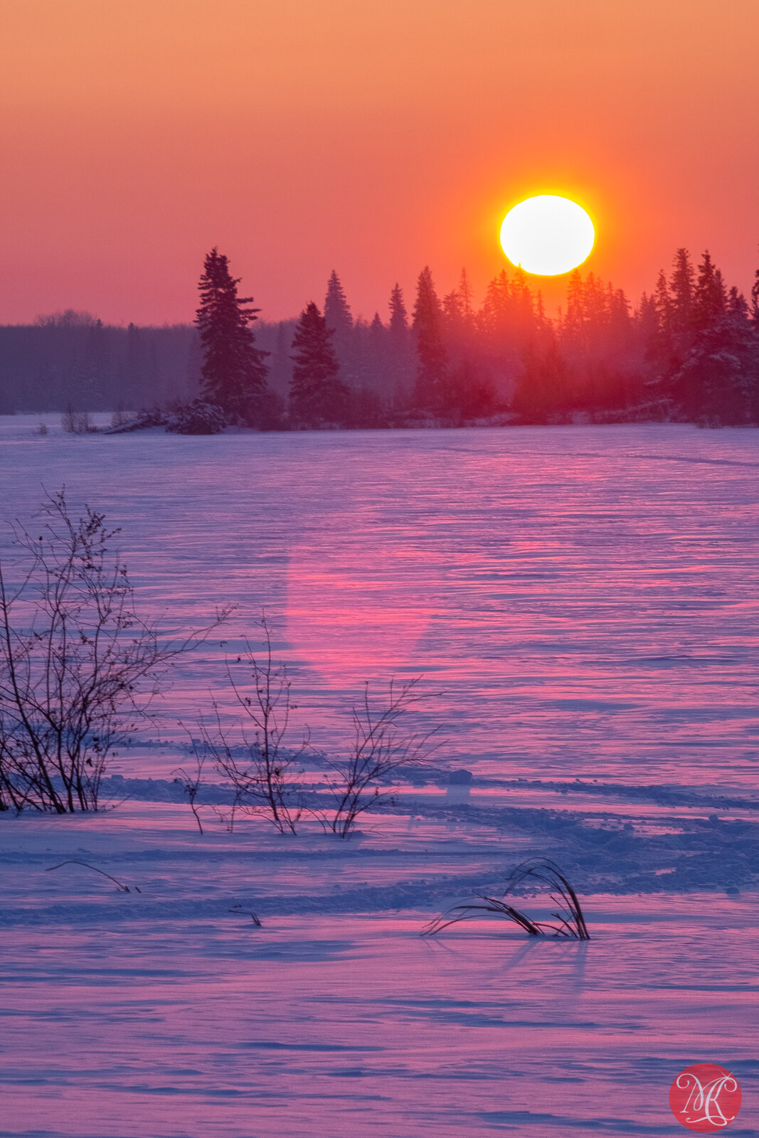 Elk Island 2019 - winter 16