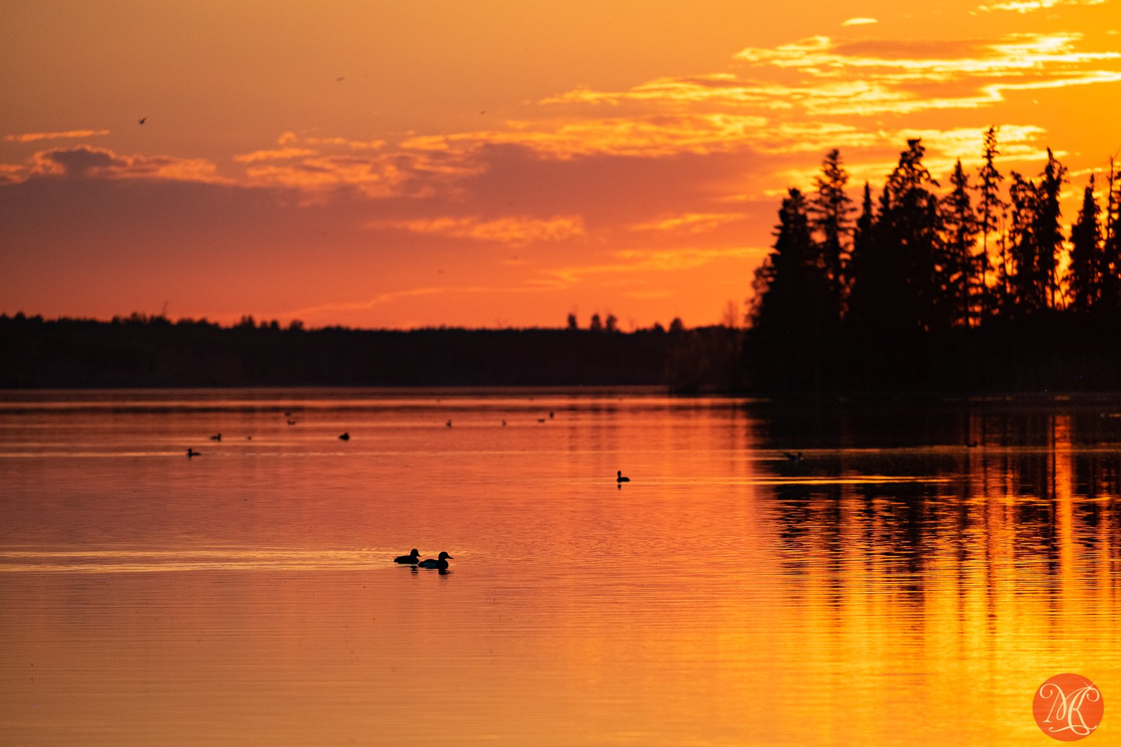 Elk Island 06-21-2021