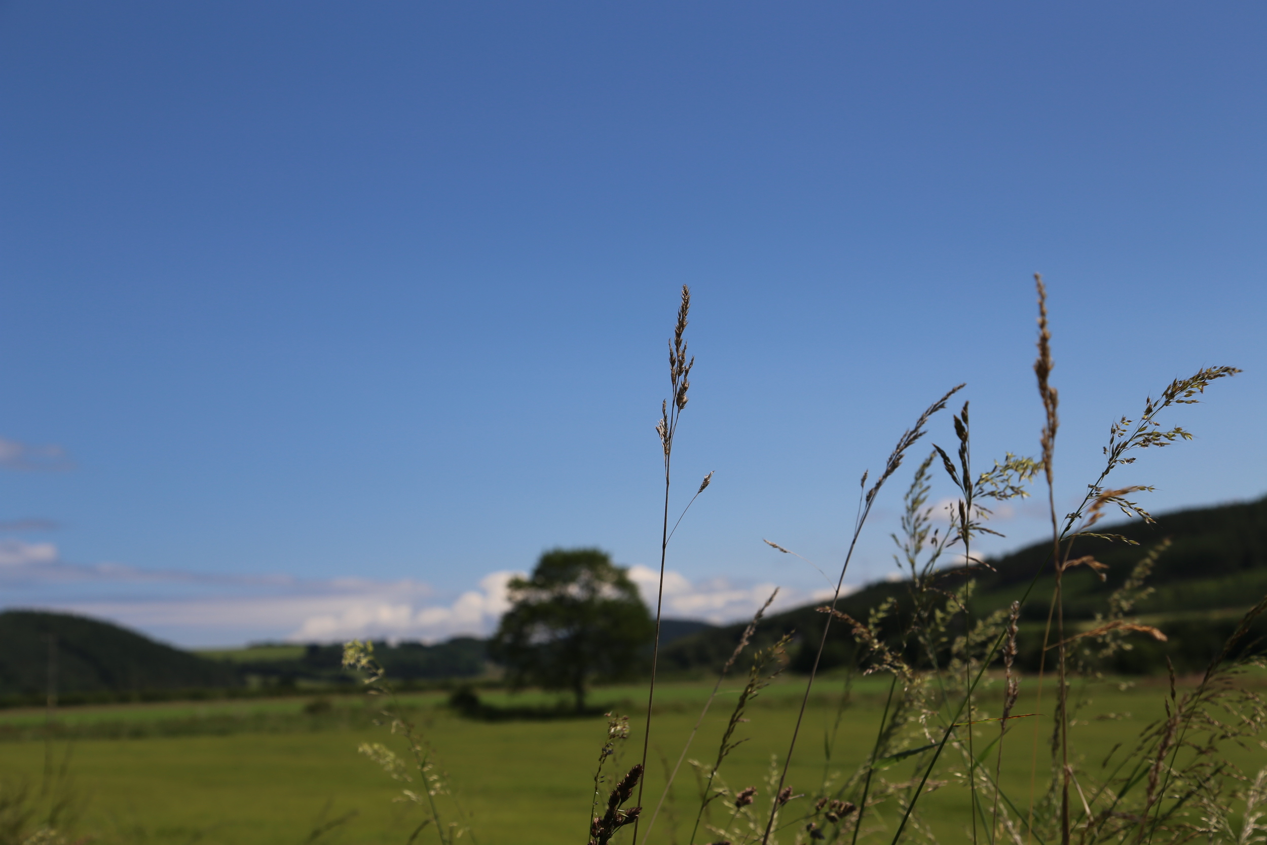 landscape, photography, canon, canon 6d, field