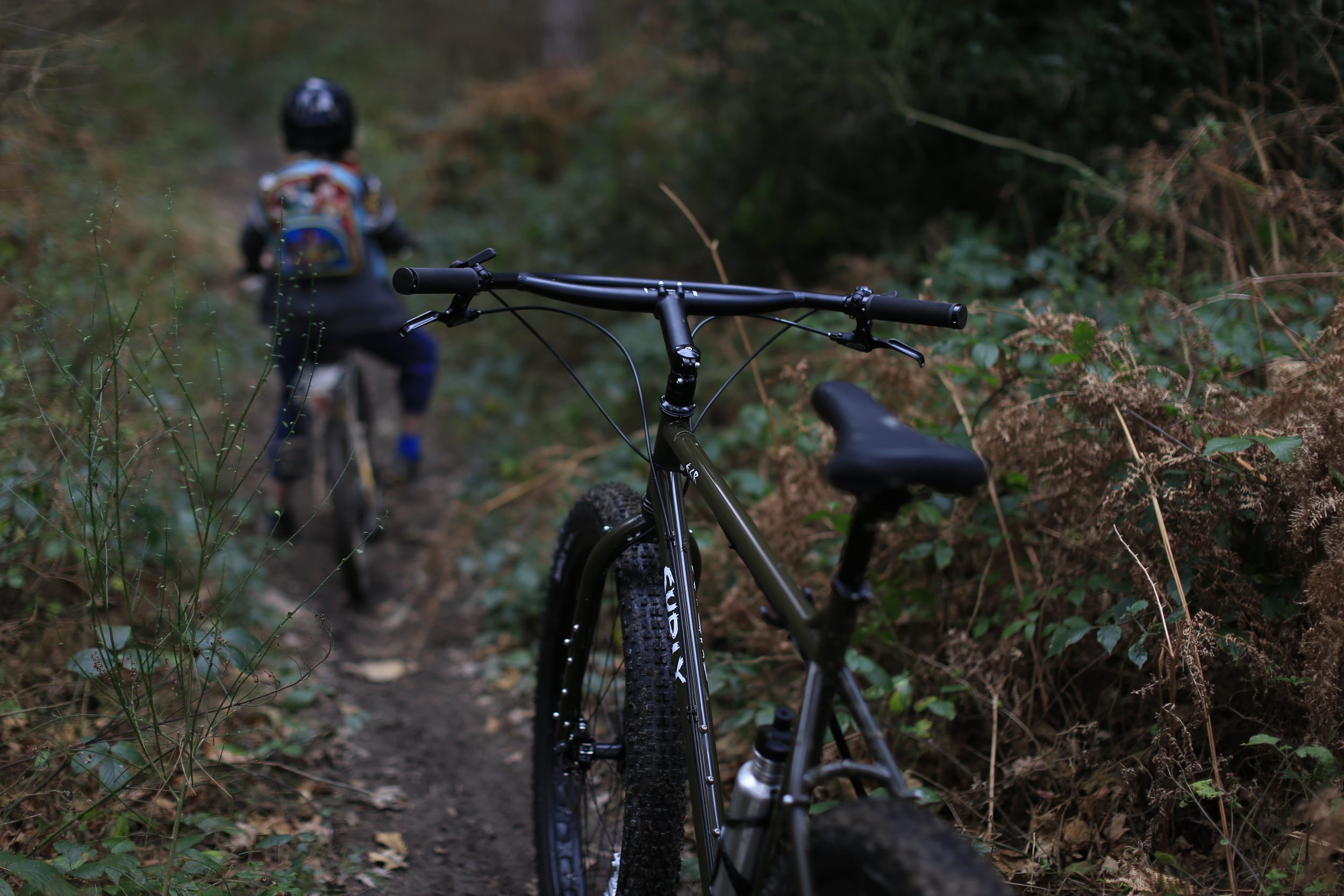 surly ogre singletrack