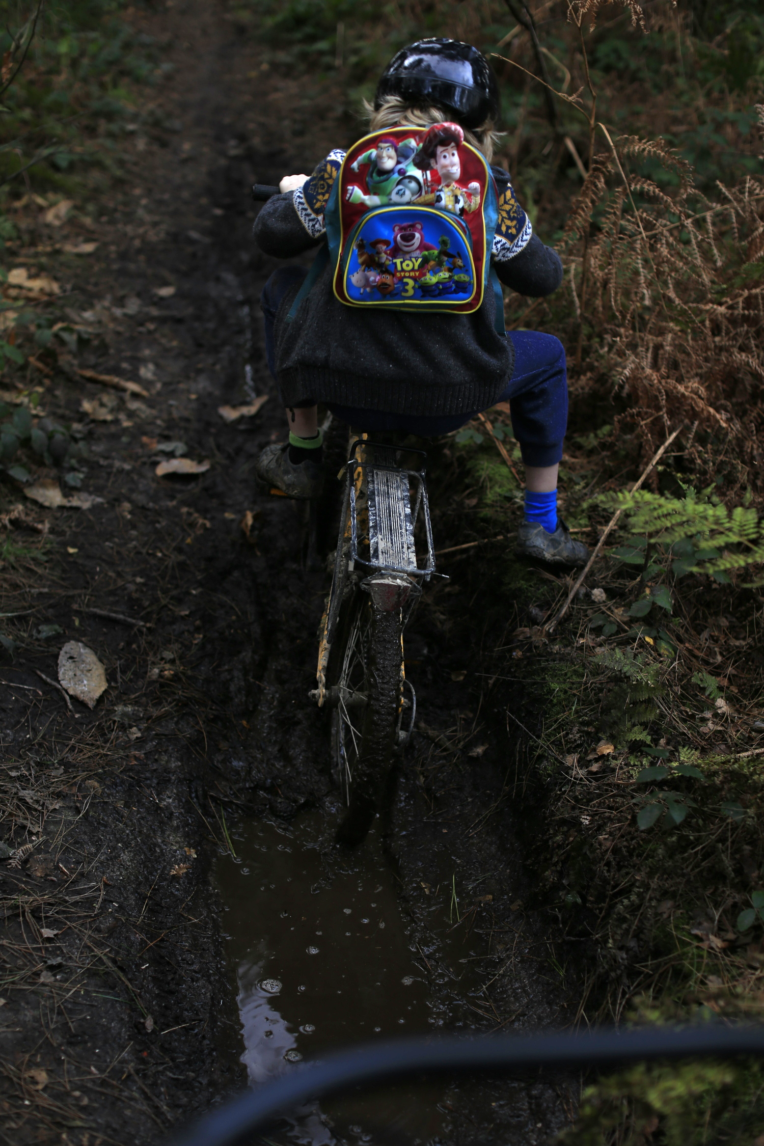 singletrack, off road, mtb, mountain biking, photo, cycle gear, maxxis