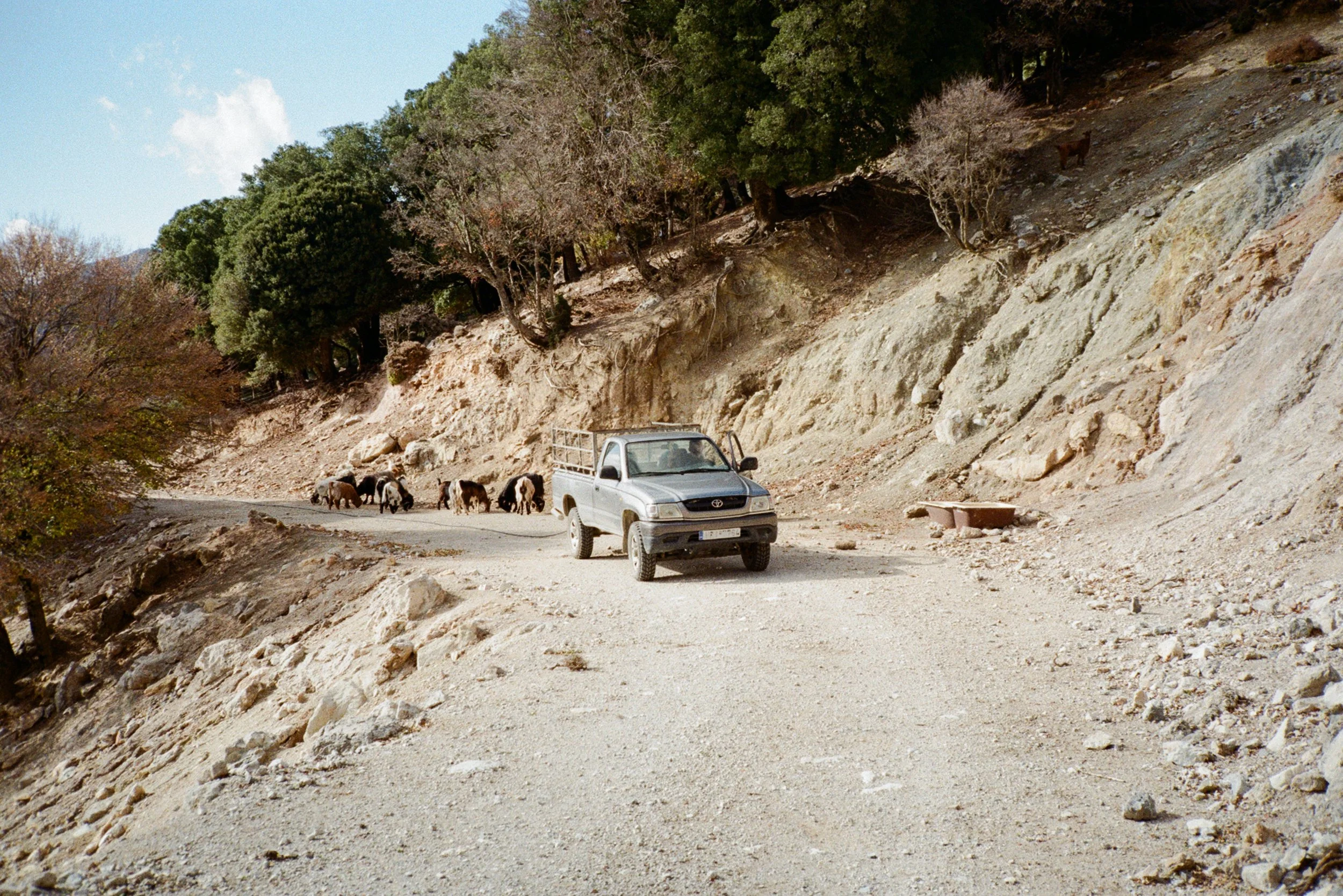 Crete on the Contax T2