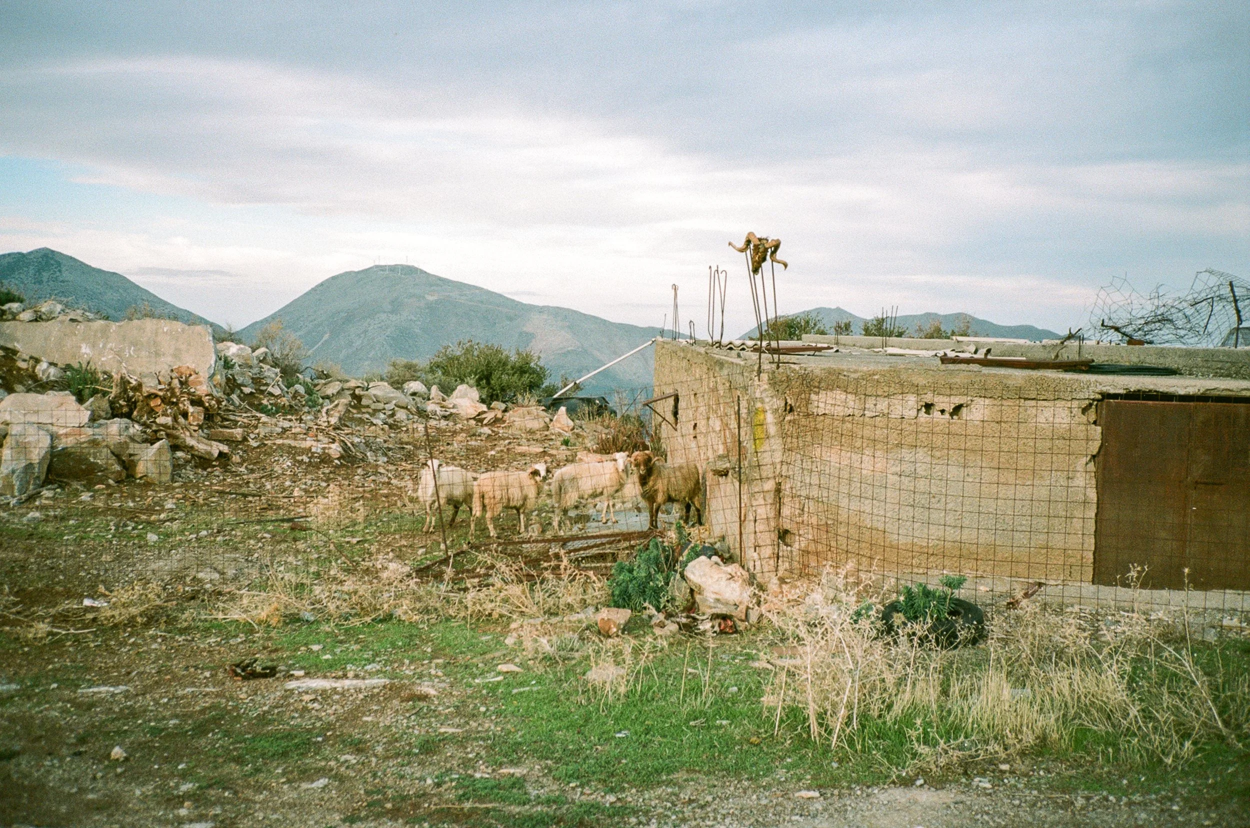 Crete on the Contax T2